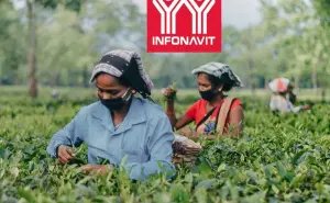 Cómo solicitar un crédito Infonavit si eres trabajador independiente o migrante