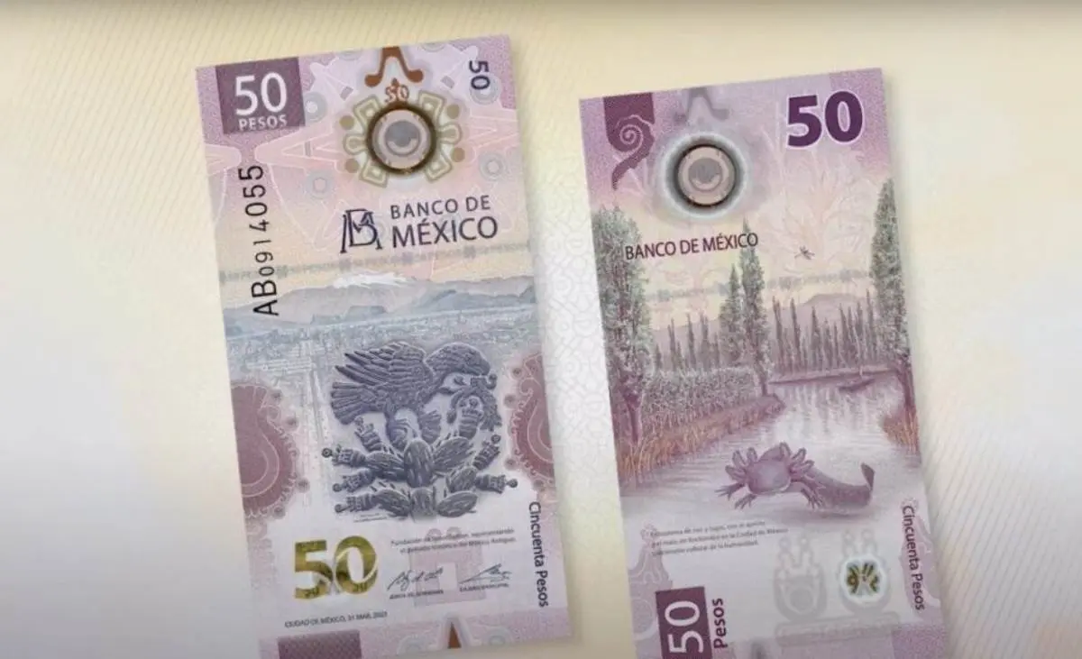 El billete del ajolote cuenta con un llamativo diseño. Foto: Banxico