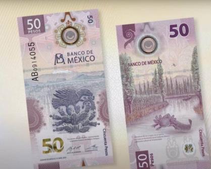 Billete del ajolote se vende hasta en $10 millones de pesos