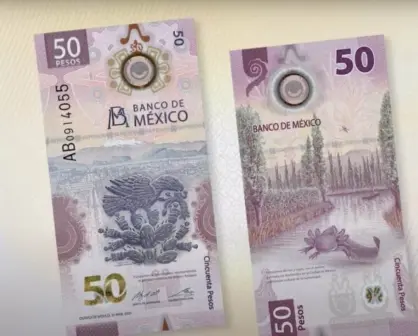 Billete del ajolote se vende hasta en $10 millones de pesos