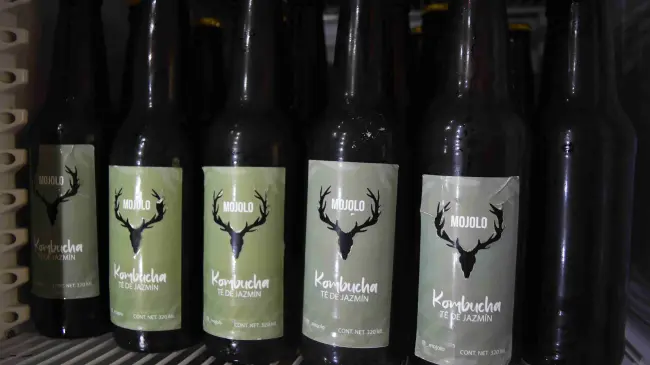 Crean en Culiacán la bebida artesanal Mojolo Kombucha , una refrescante fermentación probiótica