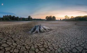 ¿Qué es la sequía? Conoce las categorías e identifica en cuál se ubica tu ciudad