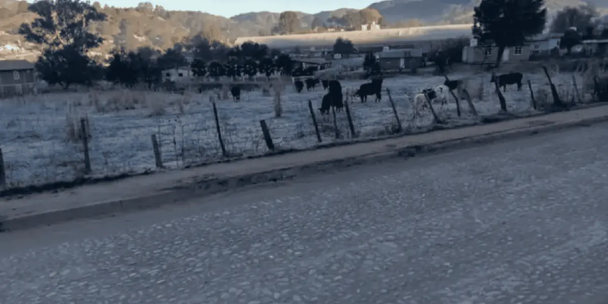 Llega el paisaje nevado en Surutato