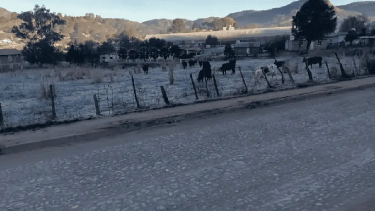 Llega el paisaje nevado en Surutato