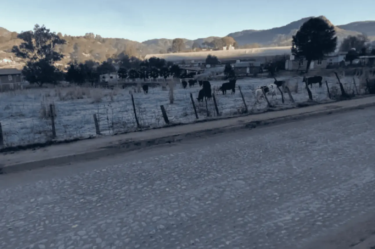 Llega el paisaje nevado en Surutato