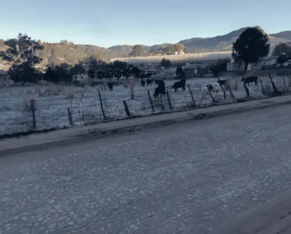 Llega el paisaje nevado en Surutato