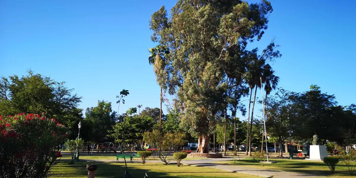 Lo que antes fue un Hospital, ahora es el parque Los Pioneros. Foto Parques Cajeme