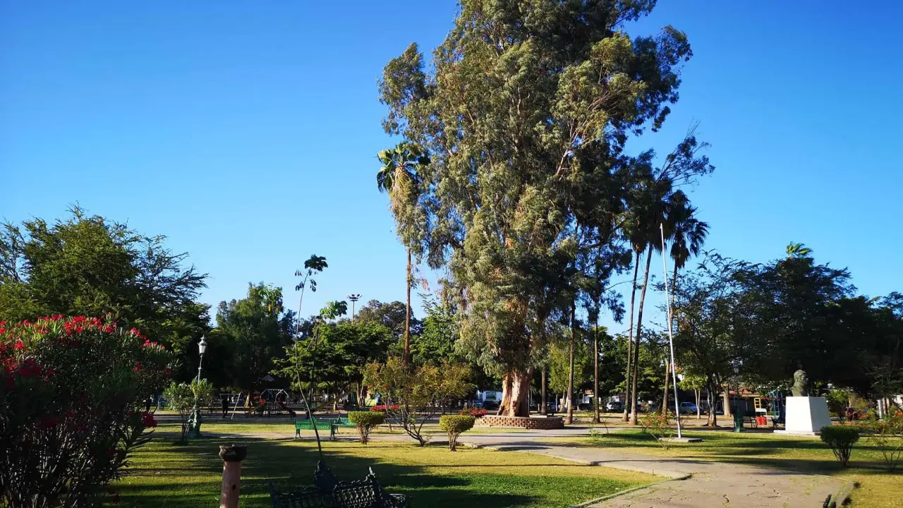 Lo que antes fue un Hospital, ahora es el parque Los Pioneros. Foto Parques Cajeme