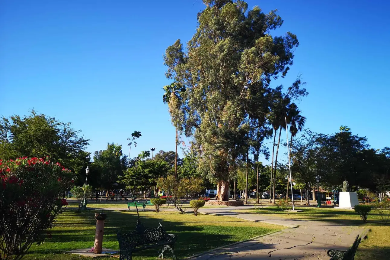 Lo que antes fue un Hospital, ahora es el parque Los Pioneros. Foto Parques Cajeme
