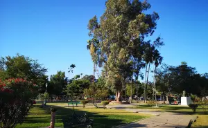 Parque Los Pioneros, la mejor opción de Sonora para correr