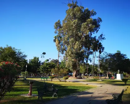 Parque Los Pioneros, la mejor opción de Sonora para correr