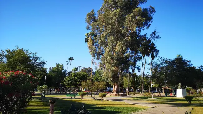 Lo que antes fue un Hospital, ahora es el parque Los Pioneros. Foto Parques Cajeme