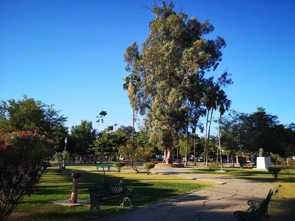 Parque Los Pioneros, la mejor opción de Sonora para correr