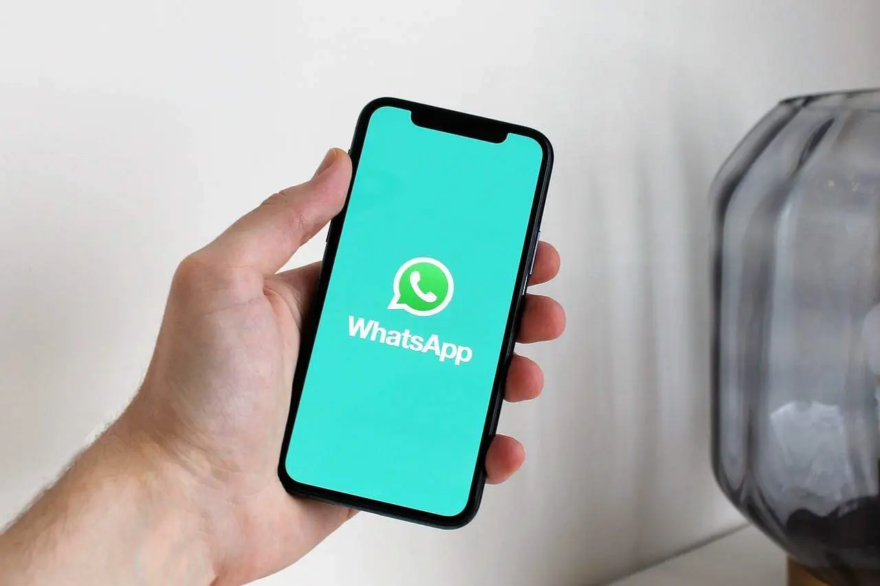 Evita que roben tus datos personales en WhatsApp. Foto: Pixabay