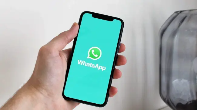 Evita que roben tus datos personales en WhatsApp. Foto: Pixabay