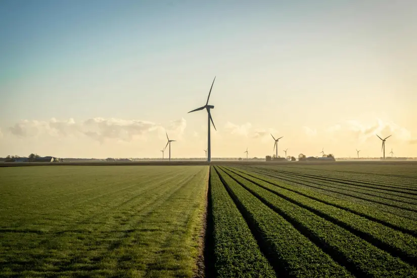 Japón_descubre_barato_metal_capaz_de_producir_energías_limpias