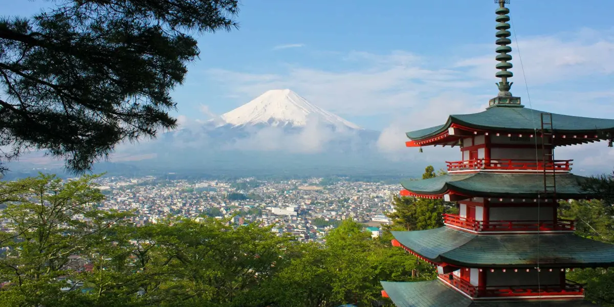 El arte de la hospitalidad japonesa.