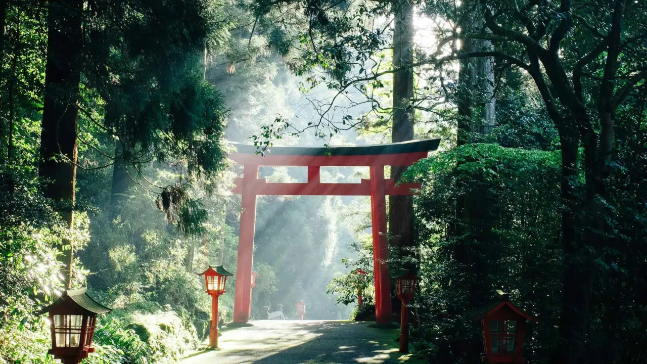 El arte de la reflexión profunda en Japón.