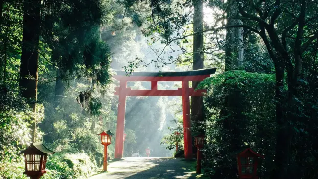 El arte de la reflexión profunda en Japón.
