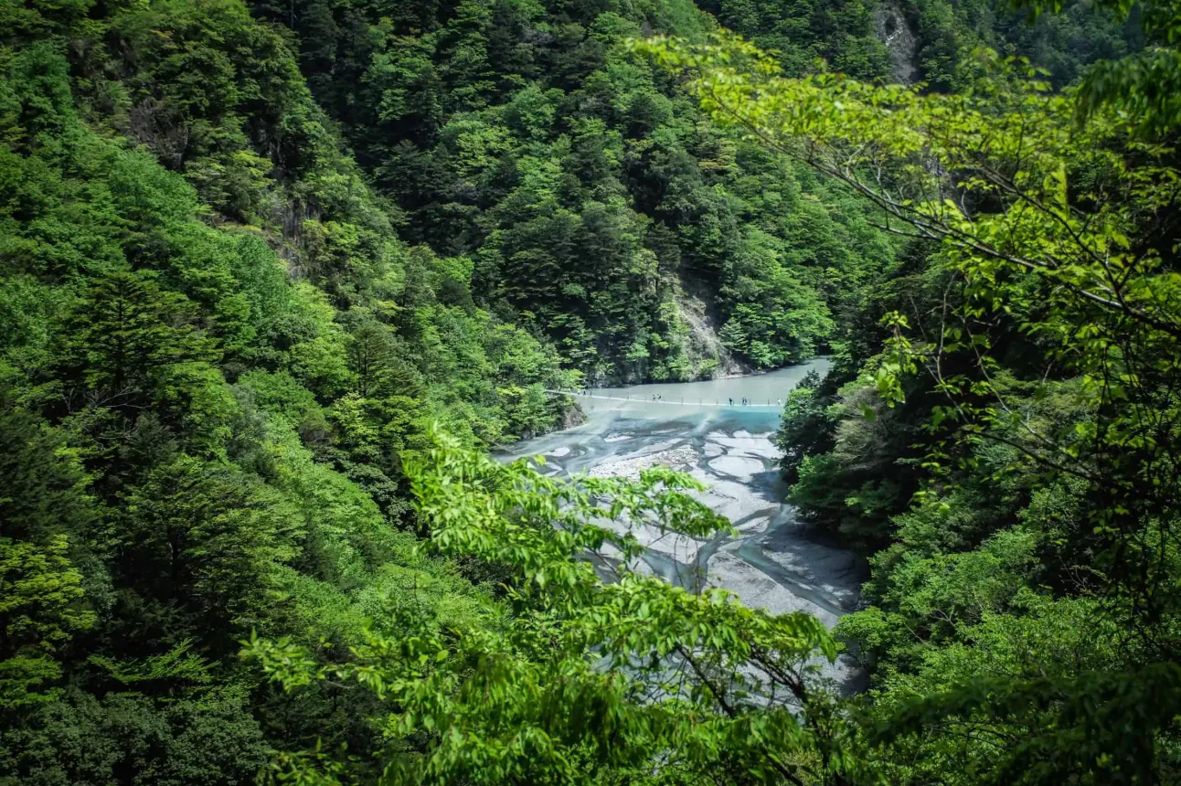 Adéntrate en la naturaleza para el bienestar de tu alma.