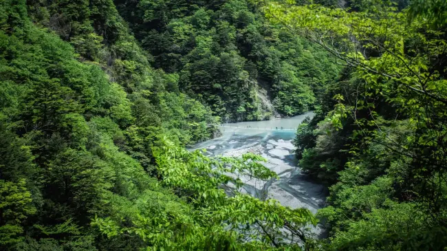 Adéntrate en la naturaleza para el bienestar de tu alma.