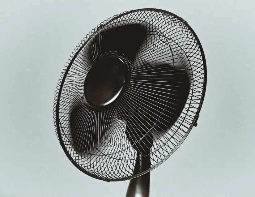 ¡No sufras calor! Los mejore ventiladores del mercado, según Profeco