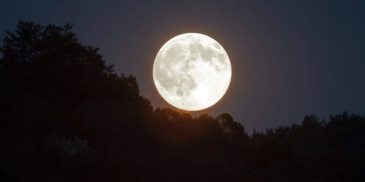 El cielo oscuro durante la luna llena resalta las estrellas. Foto: Cortesía