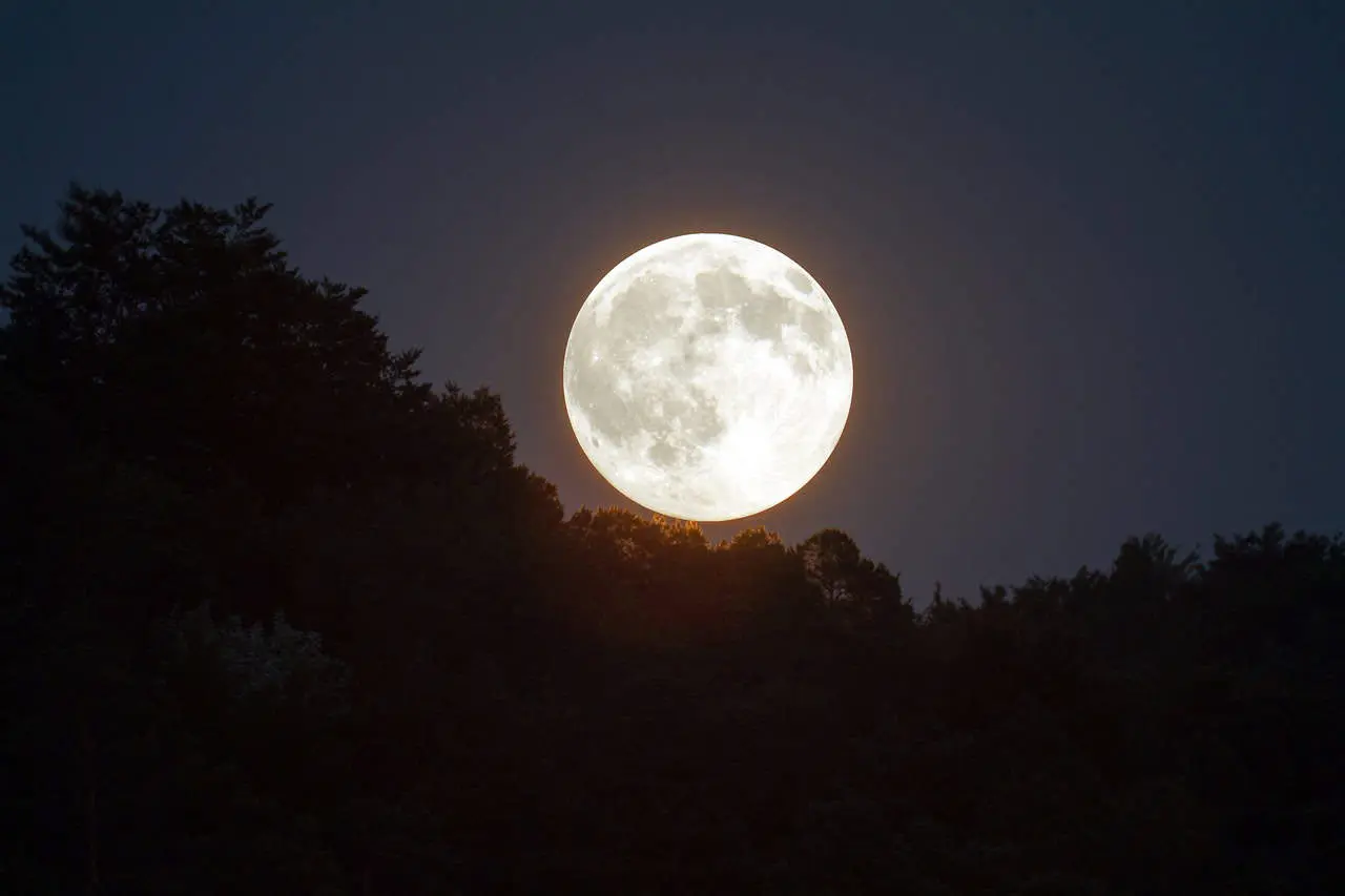 El cielo oscuro durante la luna llena resalta las estrellas. Foto: Cortesía