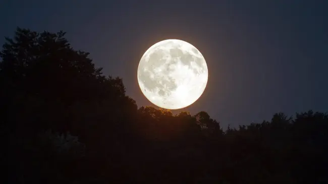 No dejes pasar la oportunidad de ver la Luna de las Flores, será un gran espectáculo. Foto: Pixabay