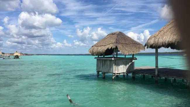 Deléitate en la Laguna de Siete Colores de Bacalar. Foto: TripAdvisor