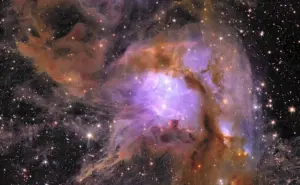 Telescopio espacial Euclid publica espectaculares fotos de enorme cuna de estrellas jóvenes