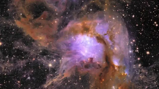Telescopio Euclid publica fotos de estrellas jóvenes.