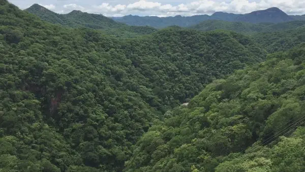 Cañón del Río Elota en Santa Ana Durango, desde el Mineral de Nuestra Señora, Cosalá