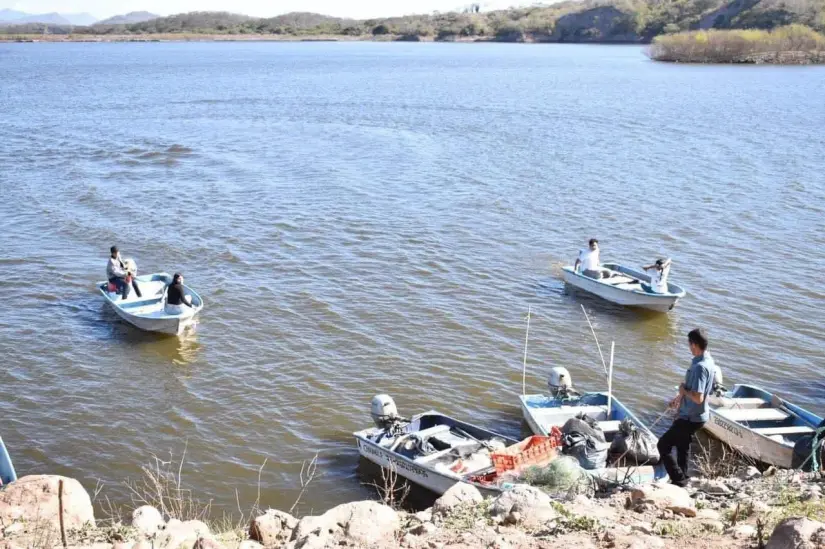 Presa Aurelio Benassini, El Salto, Elota, Sinaloa