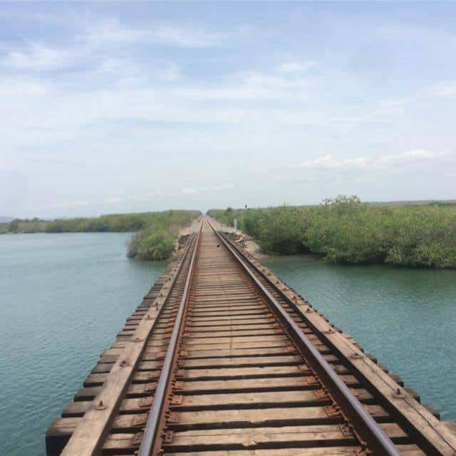 Desembocadura del Río Piaxtla, Sinaloa al paso del ferrocarril. Vigilantes comunitarios APFF Meseta de Cacaxtla