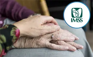 Aumento a pensiones IMSS 2026: ¿Cuánto recibirán los beneficiarios de la Ley 73?