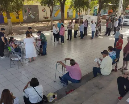 Elecciones 2024: Participación ciudadana en las elecciones de Sinaloa