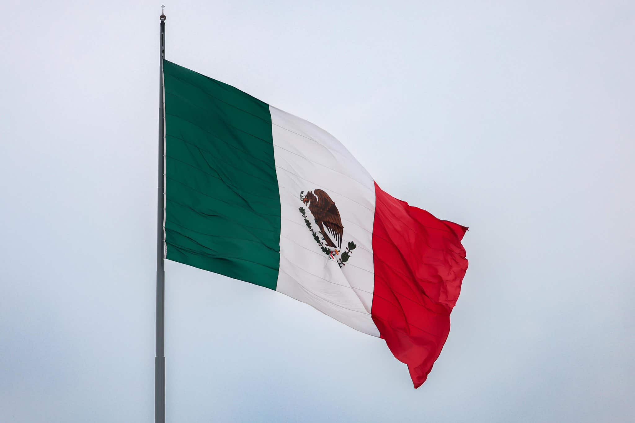México sumará 13 gobernadoras | Imagen: cortesía