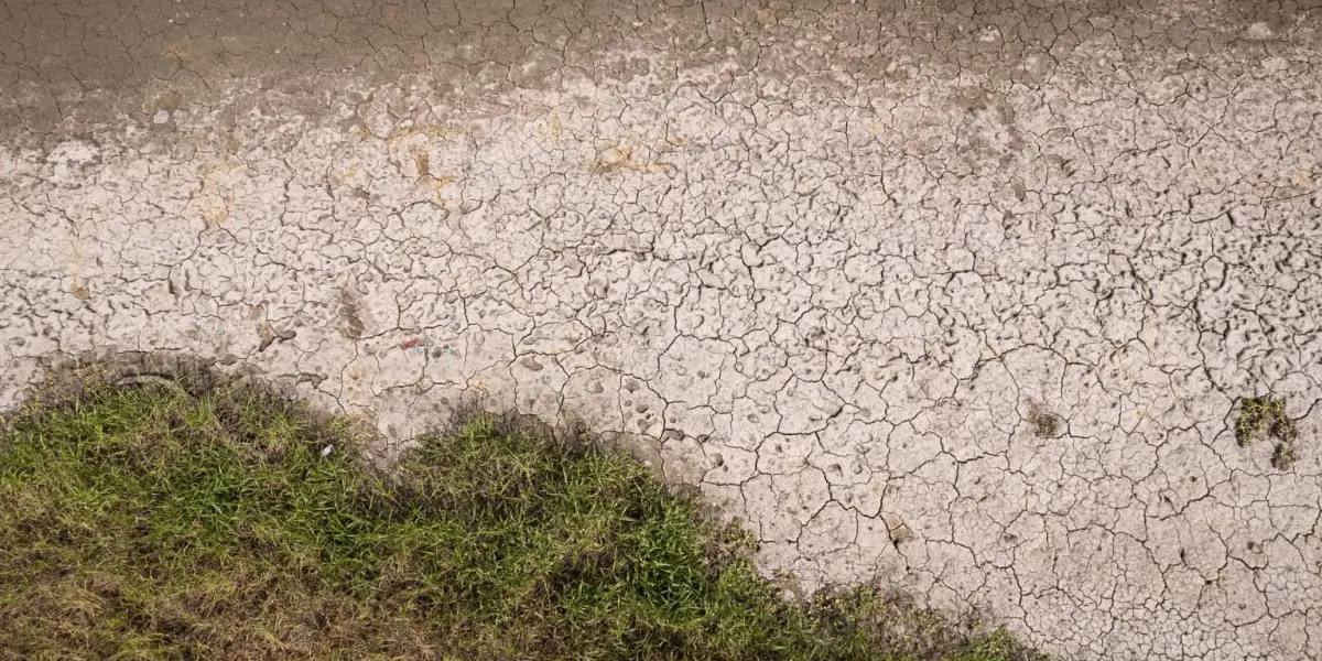 Se secan las presas de Sinaloa, se impacta la agricultura