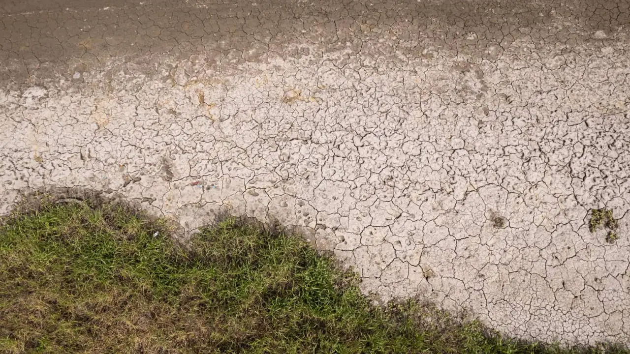 Se secan las presas de Sinaloa, se impacta la agricultura