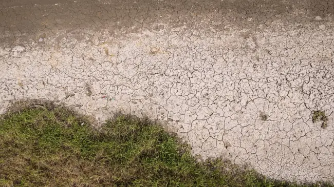 Se secan las presas de Sinaloa, se impacta la agricultura