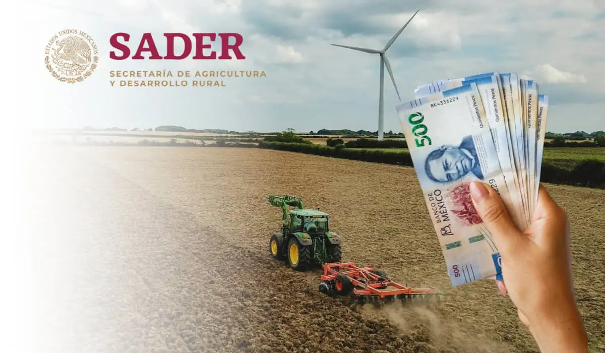 Aquí todos los detalles sobre el empleo de la Secretaría de Agricultura. Foto: TBN