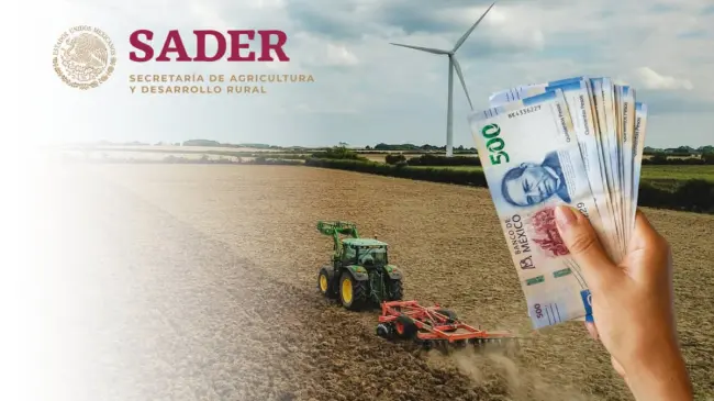 Aquí todos los detalles sobre el empleo de la Secretaría de Agricultura. Foto: TBN