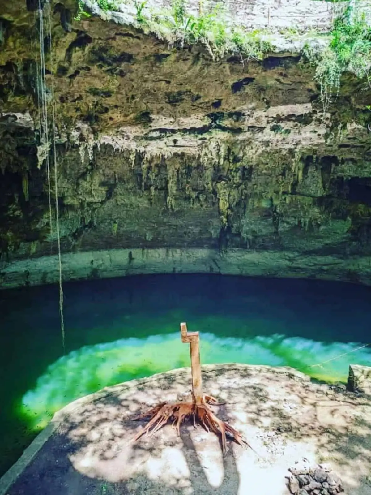 Descubre los cenotes Suytun en el pueblo mágico de Valladolid; cómo llegar, costos y más