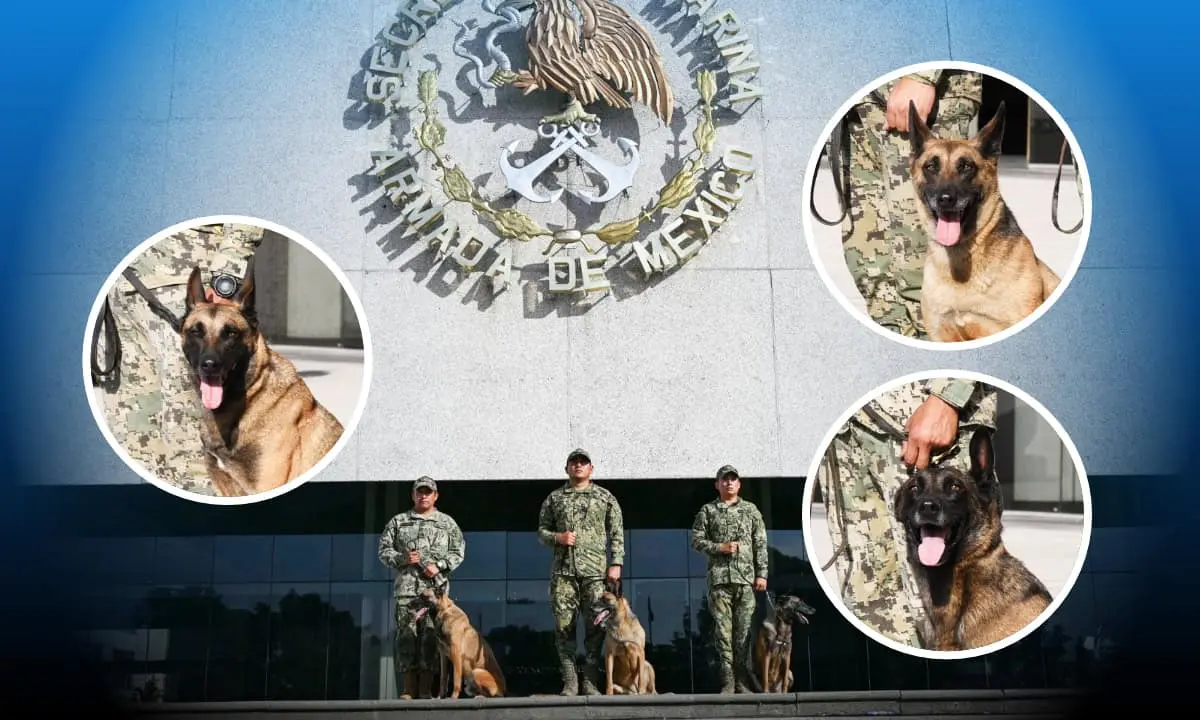 Eden, Erny y Eska se retiran con honores de la Marina. Foto: Cortesía