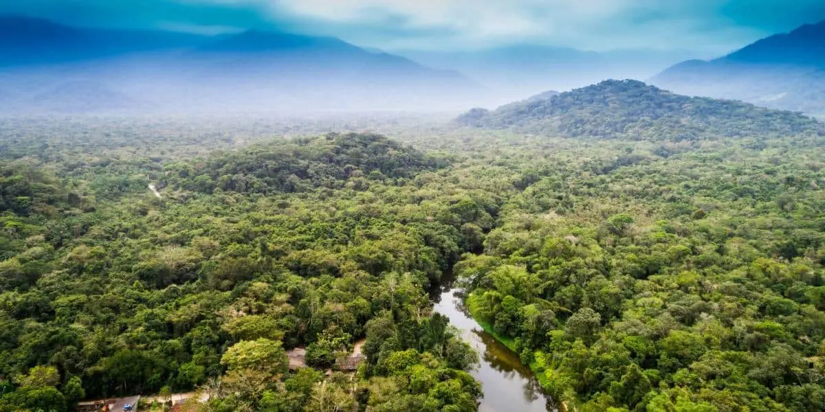 5 de junio, Día mundial del medio ambiente