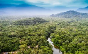 05 de junio: día mundial del medio ambiente