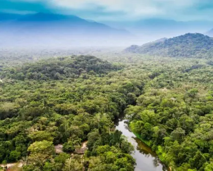 05 de junio: día mundial del medio ambiente