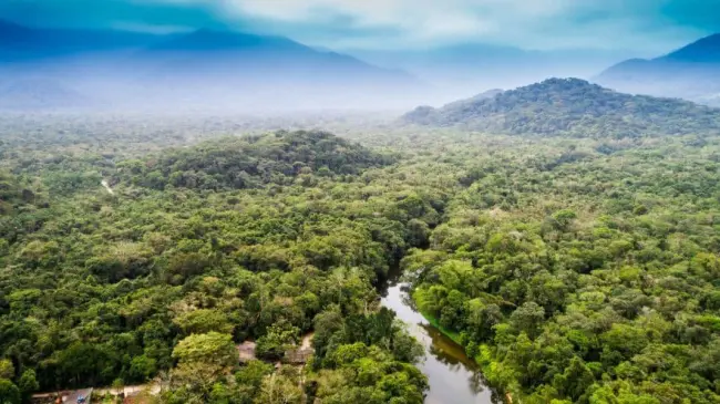 5 de junio, Día mundial del medio ambiente