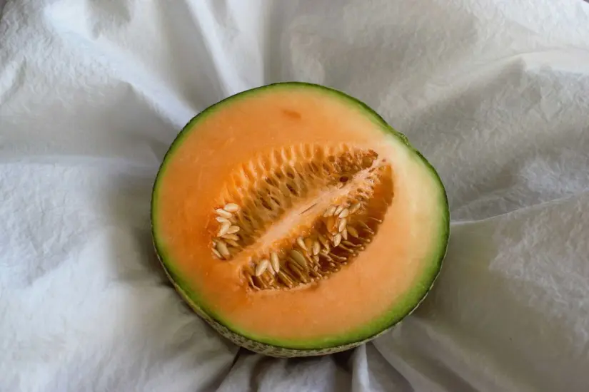 Melón